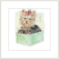 Opakowanie Karnet rysowany pies w pudełku 16x16 + koperta