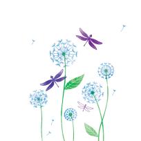 Opakowanie Karnet Swarovski Dmuchawce i ważki