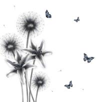 Opakowanie Karnet Swarovski kwadrat CL0321_BL