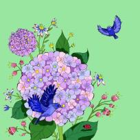 Opakowanie Karnet Swarovski kwadrat kwiaty jasna zieleń