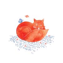 Okładka książki Karnet Swarovski kwadrat Lis