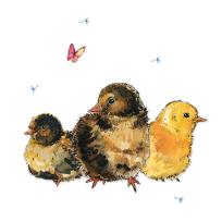 Opakowanie Karnet Swarovski kwadrat Pisklęta