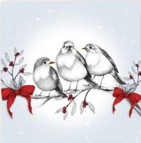 Opakowanie Karnet Swarovski kwadrat Święta Ptaszki na gałęzi