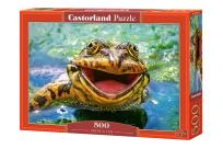 Opakowanie Puzzle Green & Fun 500