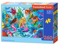 Opakowanie Puzzle Mermaid Meeting 260