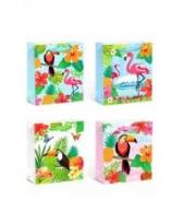 Opakowanie Torebka upominkowa KR 975 L