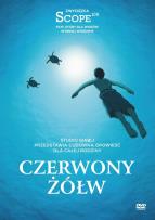 Opakowanie Czerwony żółw