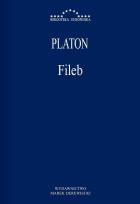 Okładka książki Fileb