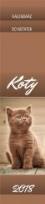 Opakowanie Kalendarz 13 Plansz paskowy - Koty