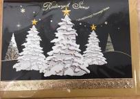 Opakowanie Karnet Boże Narodzenie B6 Premium 12 + koperta