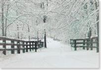 Opakowanie Karnet Św mini Zimowe Ślady (20szt)