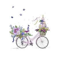 Opakowanie Karnet Swarovski kwadrat CL2415 Rower