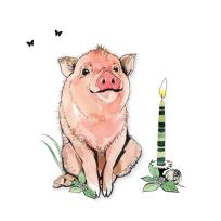 Okładka książki Karnet Swarovski kwadrat Świnka