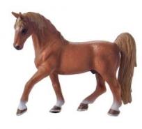 Opakowanie Koń American Saddlebred