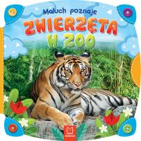Okładka książki Maluch poznaje zwierzęta w zoo