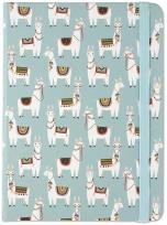 Opakowanie Notatnik midi Lamy