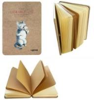 Opakowanie Notes 128k A6 Kot i lód