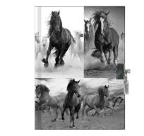 Opakowanie Pachnący pamiętnik z kłódką