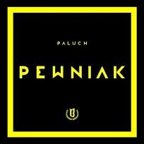 Okładka książki Paluch: Pewniak CD