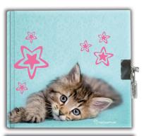 Okładka książki Pamietnik z kłódką Rachael hale