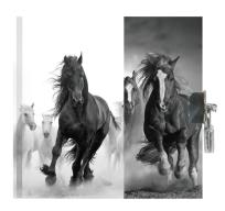 Opakowanie Pamiętnik z kłódką