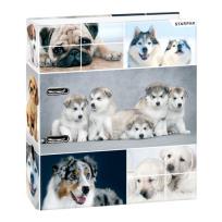 Opakowanie Segregator A4/70 psy 391674