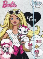 Opakowanie Szkicownik Barbie weterynarz