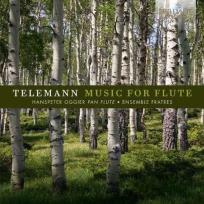 Opakowanie Teleman Flute Concertos