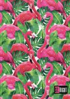 Opakowanie Brulion A4/96# St.Right QR-2296 oprawa twarda