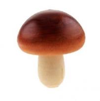 Opakowanie Drewniane grzybki