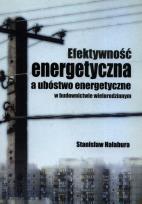Okładka książki Efektywność energetyczna a ubóstwo energetyczne w budownictwie wielorodzinnym
