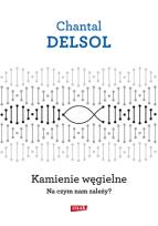 Okładka książki Kamienie węgielne Na czym nam zależy?