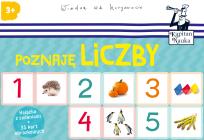 Okładka książki Kapitan Nauka - Poznaję Liczby