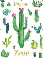 Opakowanie Karnet B6 Kaktusy