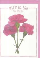 Opakowanie Karnet B6 Kwiaty akwarela. Goździk