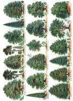 Opakowanie Karnet B6 z kopertą Our British Forest Trees