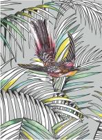 Opakowanie Karnet B6 z kopertą Sunbird