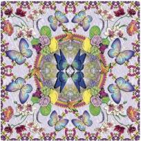 Opakowanie Karnet kwadrat z kopertą DNA Butterflies