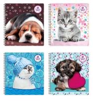 Opakowanie Kołonotatnik na spirali 80 kartek The Sweet Pets 8 sztuk mix