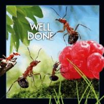 Opakowanie Magnes 3D Dobra robota