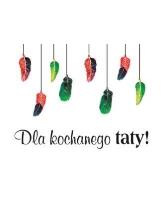 Opakowanie Magnes - dla Kochanego Taty