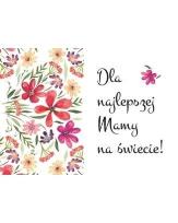 Opakowanie Magnes - Dla najlepszej mamy