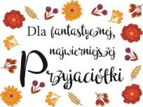 Opakowanie Magnes - Fantastycznej przyjaciółki