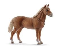 Opakowanie Ogier rasy Morgan