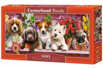 Opakowanie Puzzle 600 Puppies on a Shelf