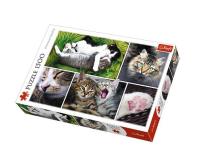 Opakowanie Puzzle Kocie sprawy - kolaż 1500