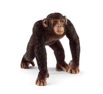 Opakowanie Szympans Samiec