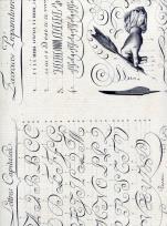 Opakowanie Teczka na dokumenty A4 FF 536A