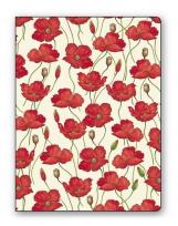 Opakowanie Teczka na dokumenty FF 683B