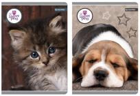 Opakowanie Zeszyt A5 w kratkę 80 kartek The Sweet Pets 5 sztuk mix